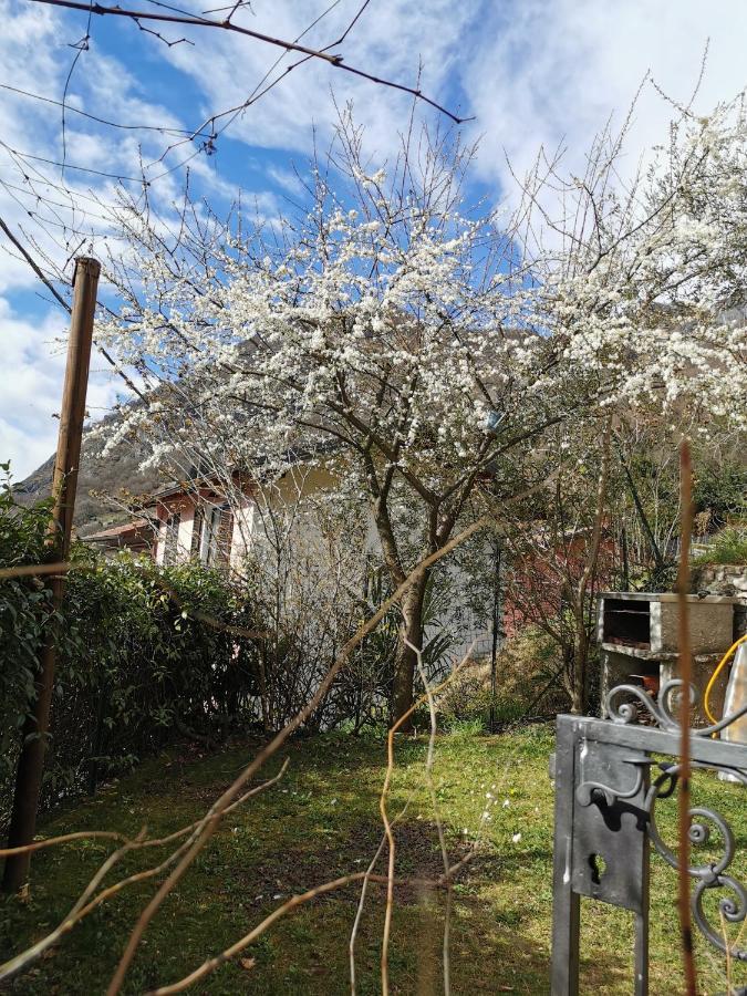 Casa Vista Lago E Giardino Porlezza Eksteriør bilde